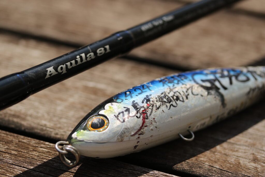 国内でGT48kgを釣った女性のタックル＆ファイト動画│釣りコレ