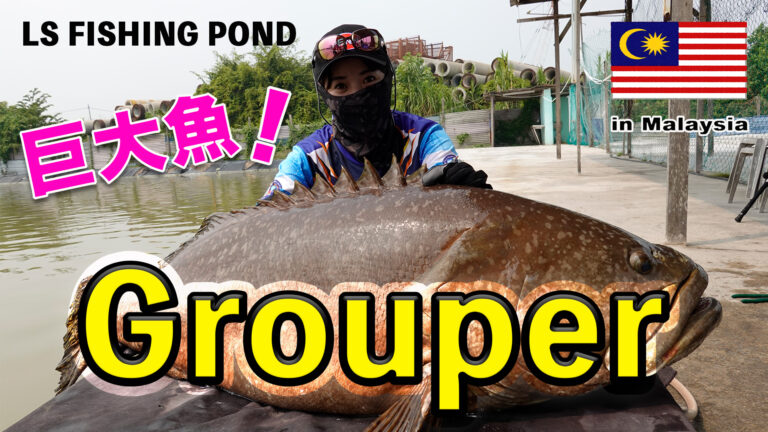 マレーシアで100kgオーバーの巨大魚が簡単に釣れる!?│釣りコレ