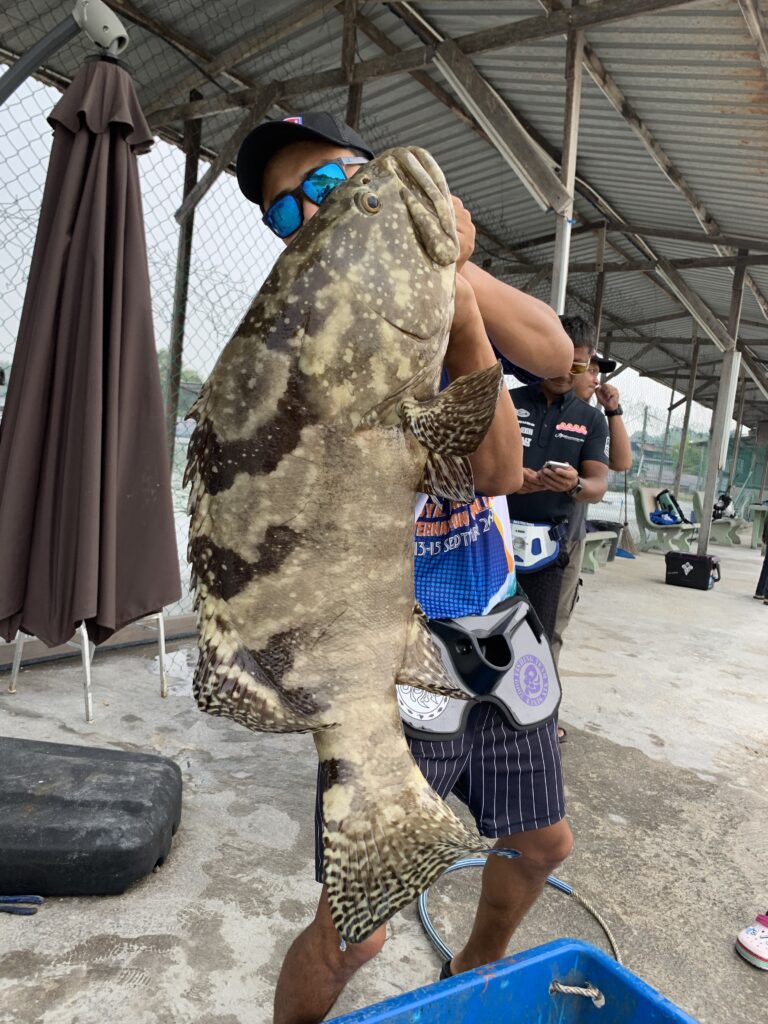 マレーシアで100kgオーバーの巨大魚が簡単に釣れる 釣りコレ